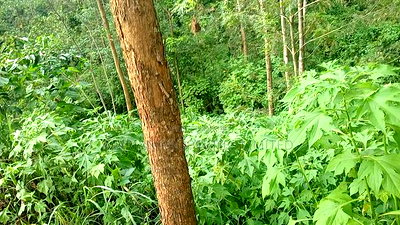 3bdrm House in Ikonyero, Sheywe for sale - Image 12