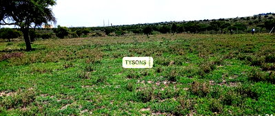 50x100 Plot at KSh 650K