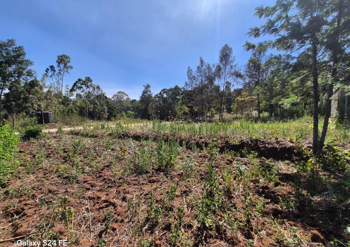 KSh 10M Plot in Kerarapon