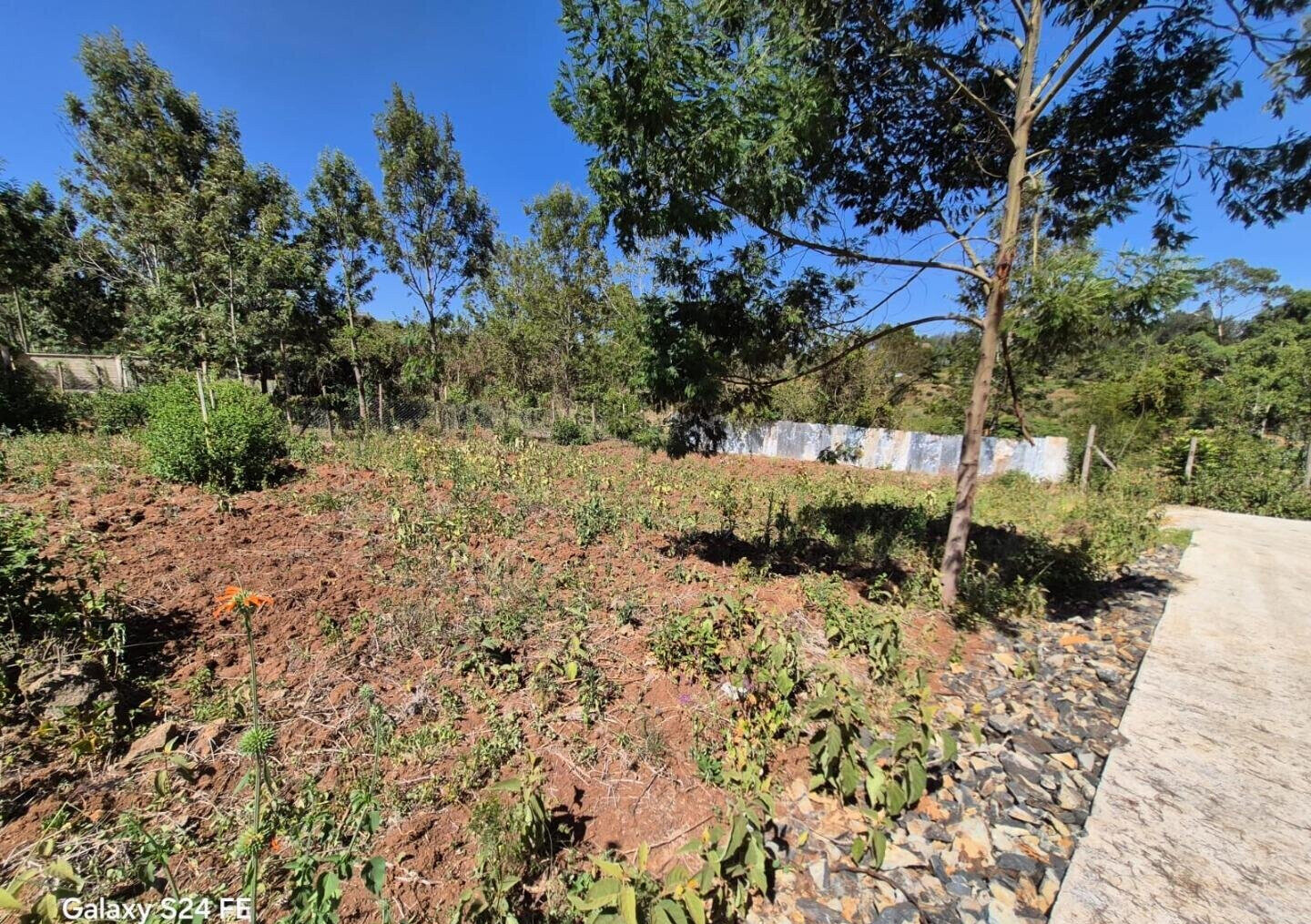 KSh 10M Plot in Kerarapon