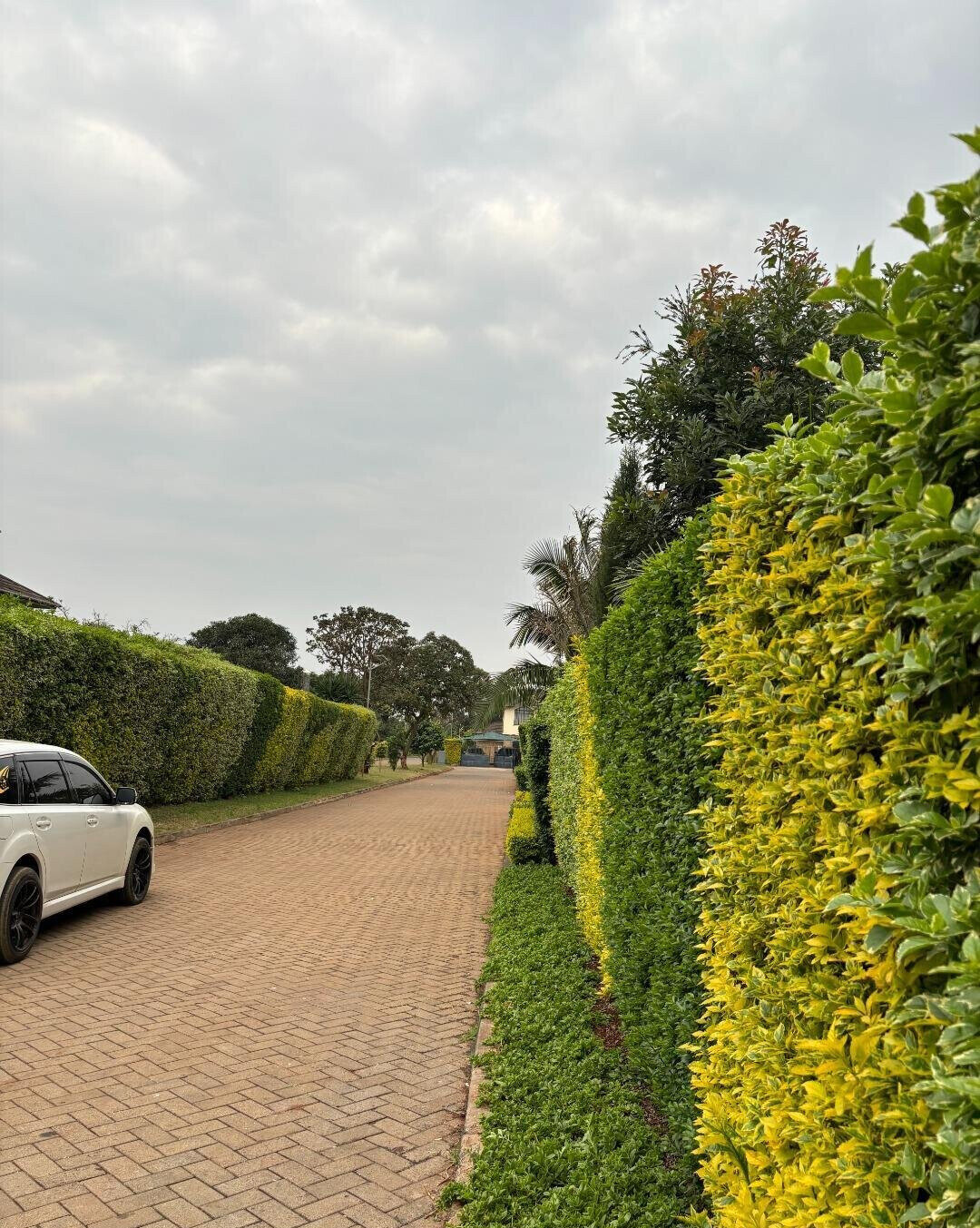 4BR Villa with Fireplace & 1/8 Acre Garden - Off Kiambu Road