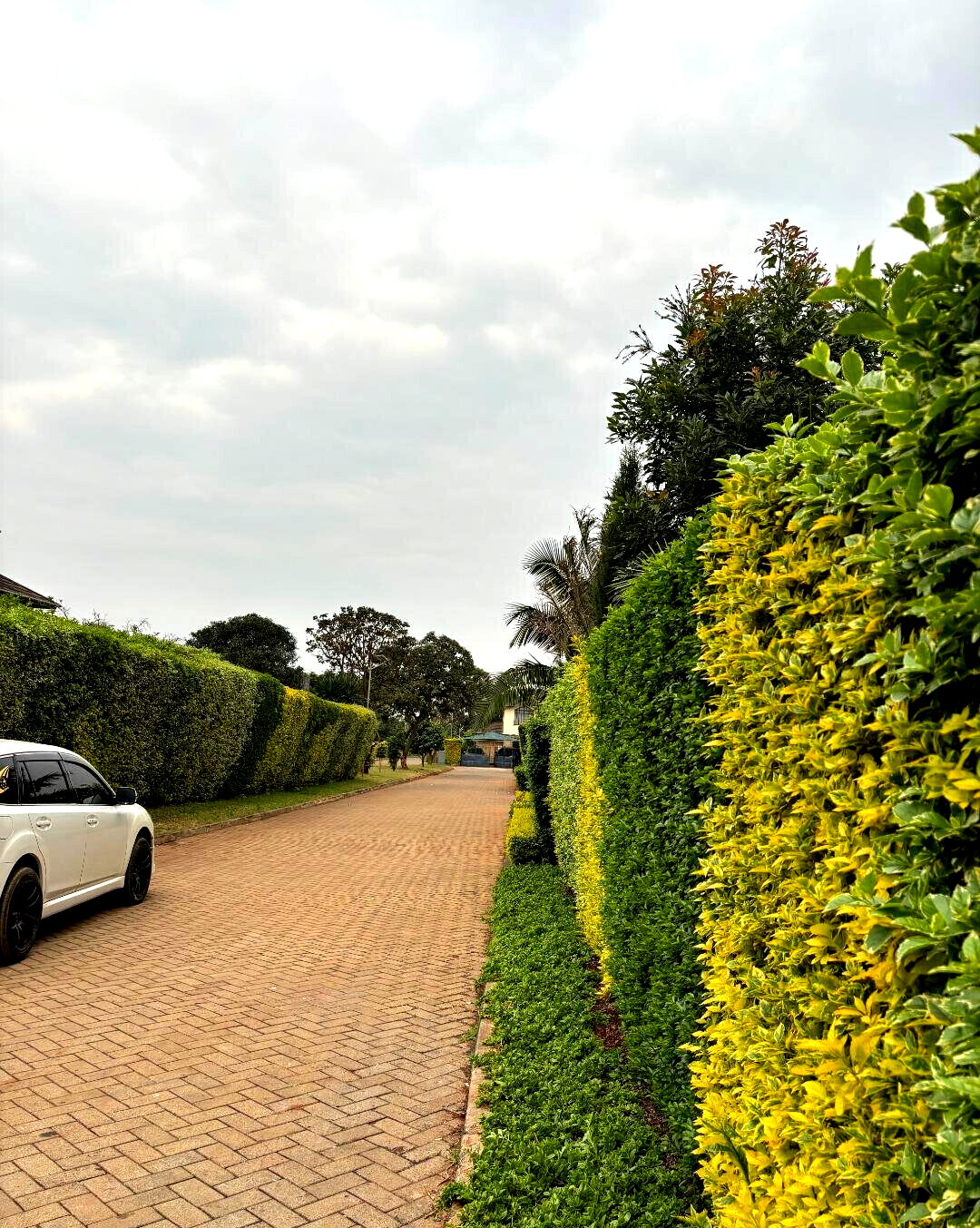 4BR Villa with Fireplace & 1/8 Acre Garden - Off Kiambu Road