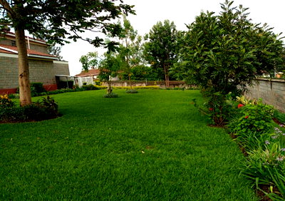 0.14 Acre 5BR Haven with Garden