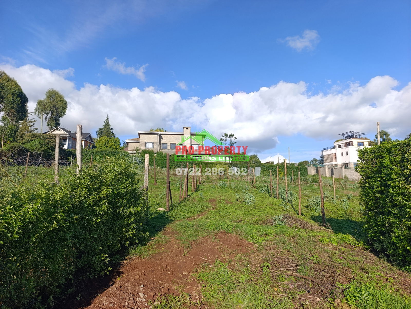 Gated 1/8 Acre with Ready Title - Muguga