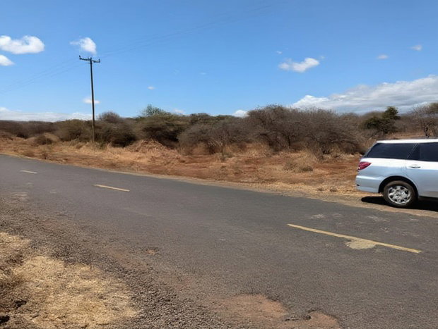 40 and 60 Acres for Sale in Kimana at Per Acre