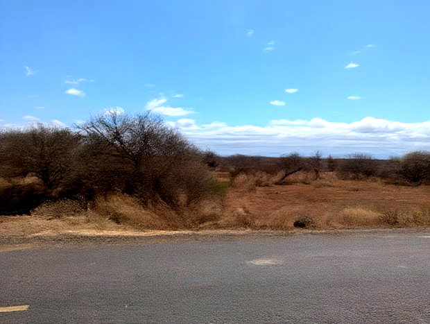 40 and 60 Acres for Sale in Kimana at Per Acre