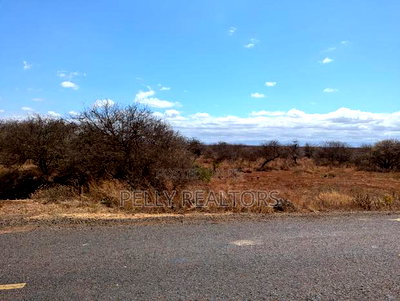 40 and 60 Acres for Sale in Kimana at Per Acre - Image 2
