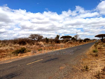 40 and 60 Acres for Sale in Kimana at Per Acre - Image 6