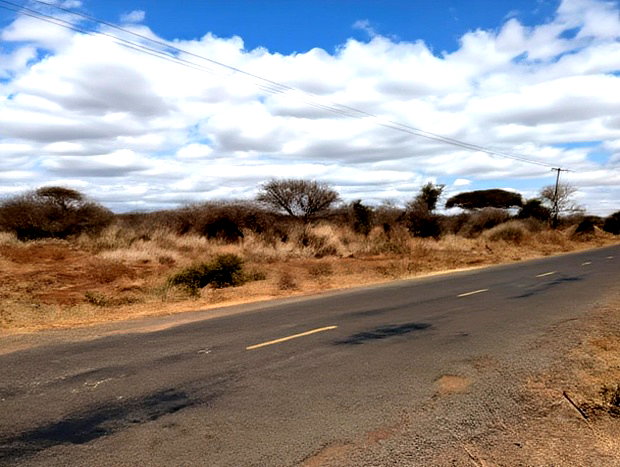 40 and 60 Acres for Sale in Kimana at Per Acre