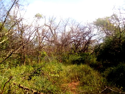 2 Acres Land, Matinyani - Image 1
