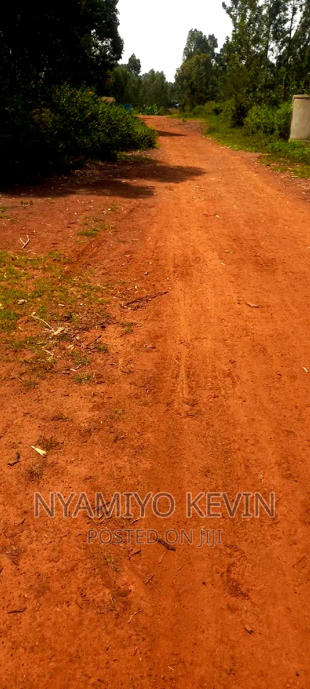 Busia Trailer Park Mundika