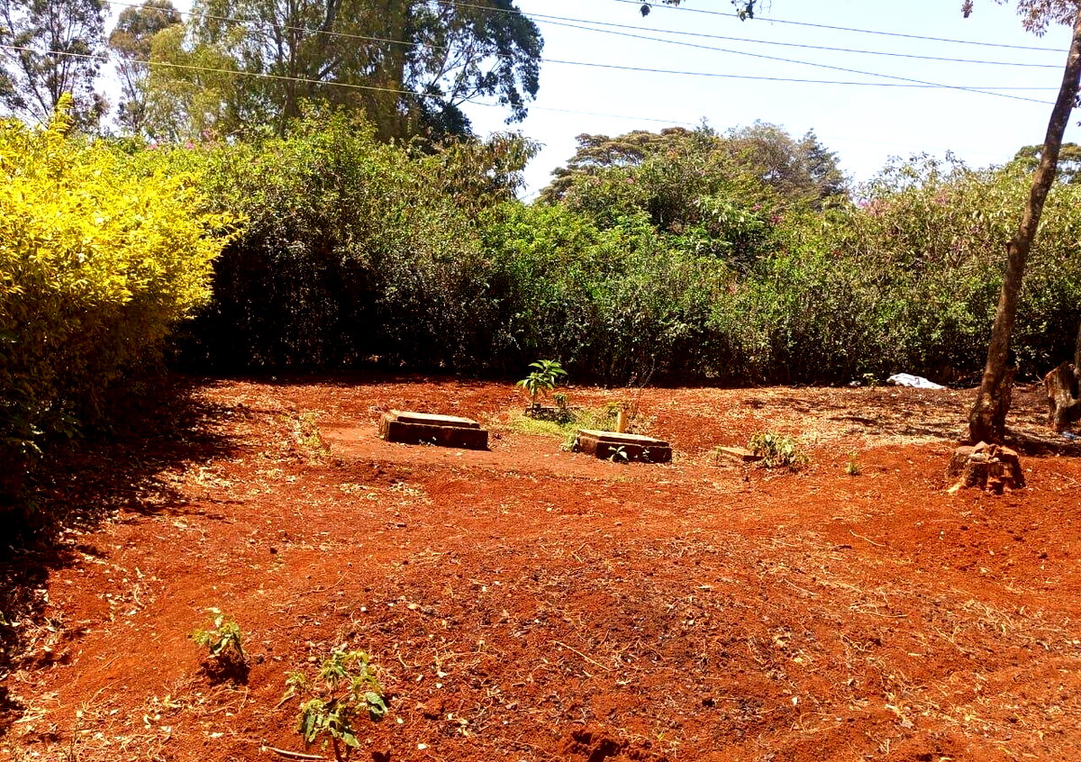 KSh 500K Commercial Plot