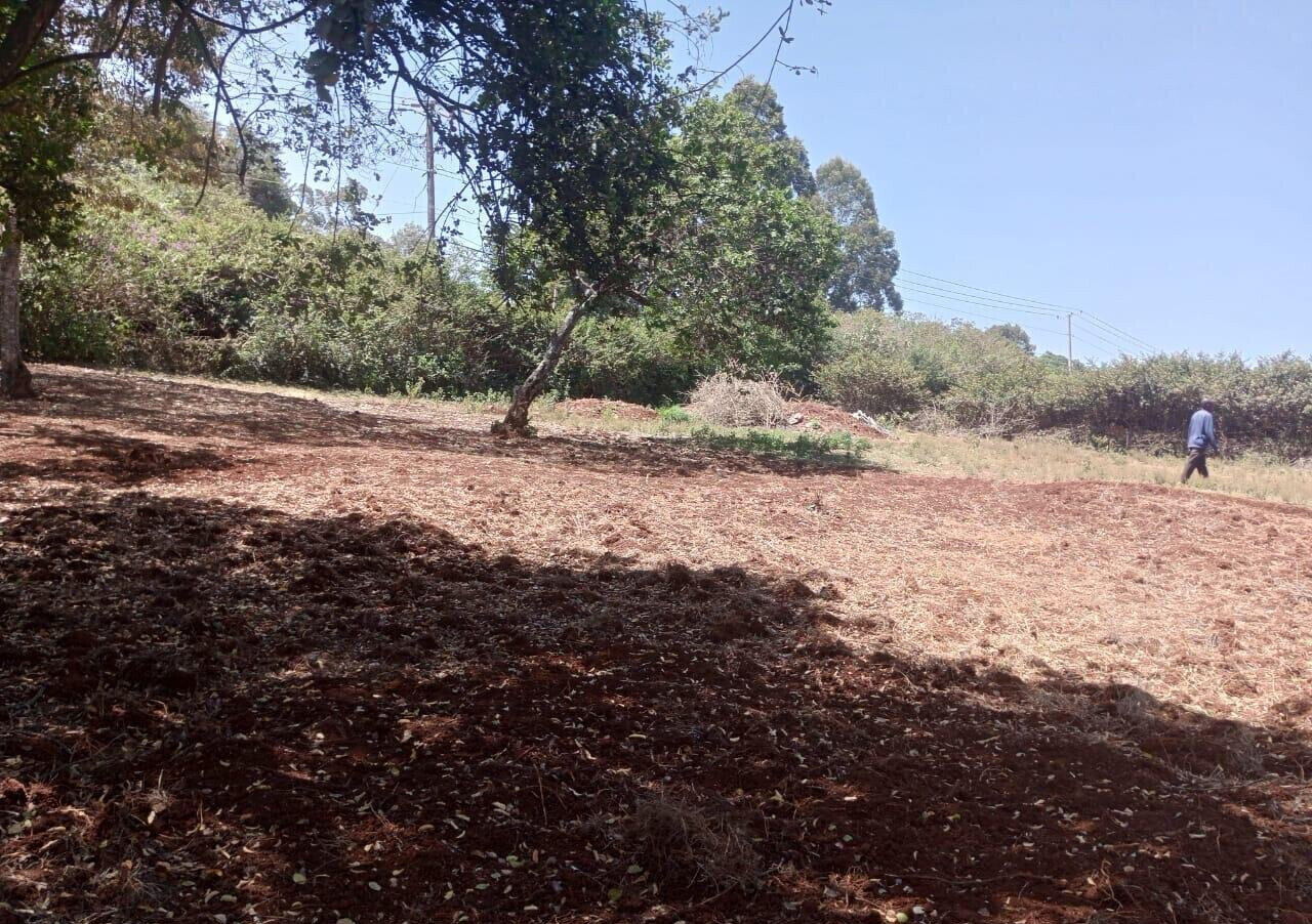 KSh 500K Commercial Plot