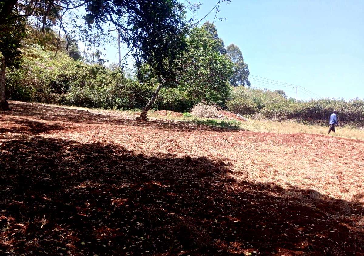 KSh 500K Commercial Plot