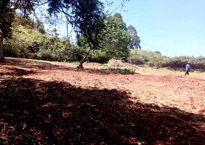 KSh 500K Commercial Plot