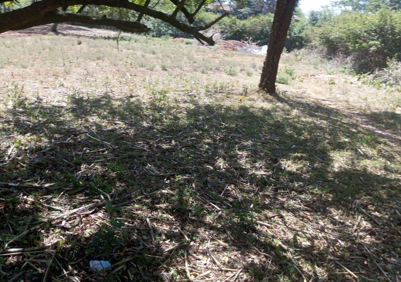 KSh 500K Commercial Plot
