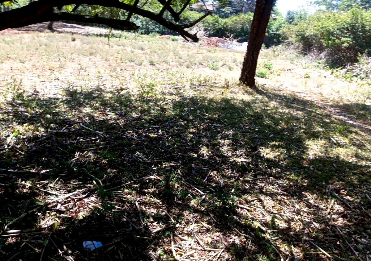 KSh 500K Commercial Plot