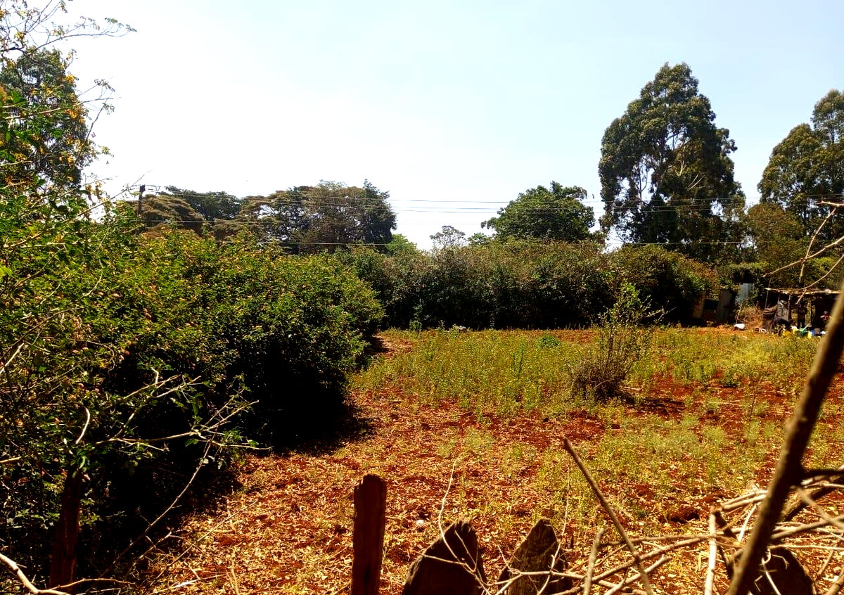 KSh 500K Commercial Plot