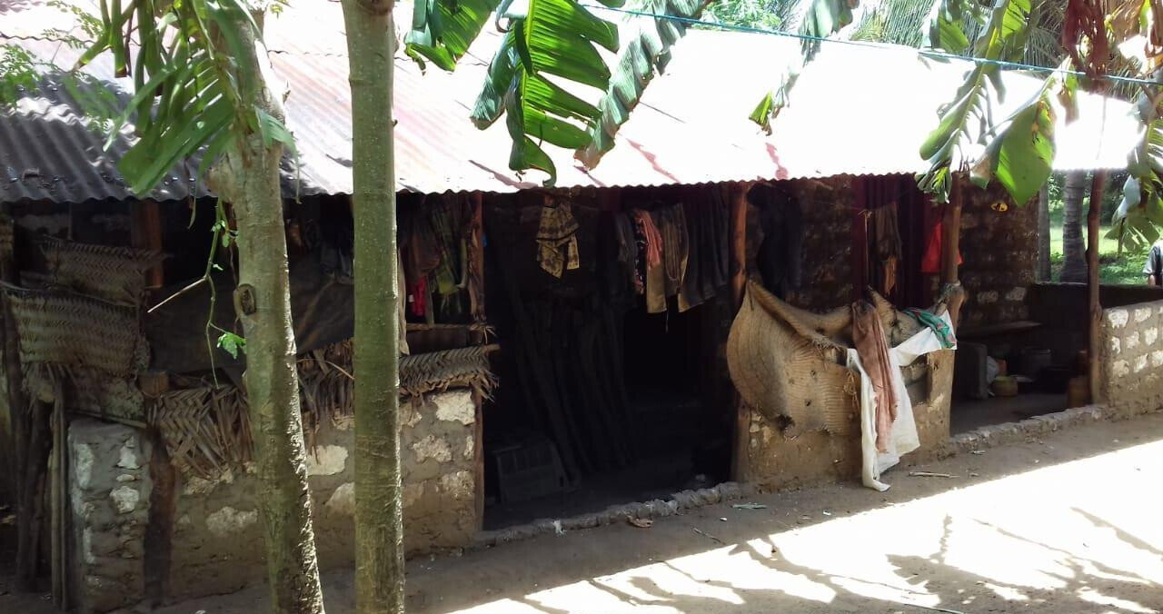 19-Acre Land with Mature Fruit Trees - Malindi