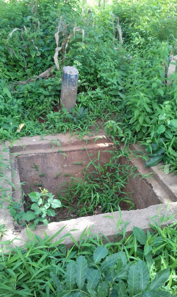 19-Acre Land with Mature Fruit Trees - Malindi