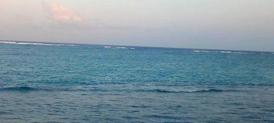 3.5 Acres Beach Plot on Sale in Galu Kinondo Beach - Image 4