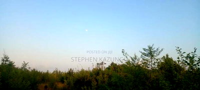 3.5 Acres Beach Plot on Sale in Galu Kinondo Beach - Image 7