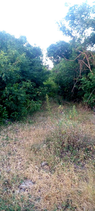 3.5 Acres Beach Plot on Sale in Galu Kinondo Beach - Image 8