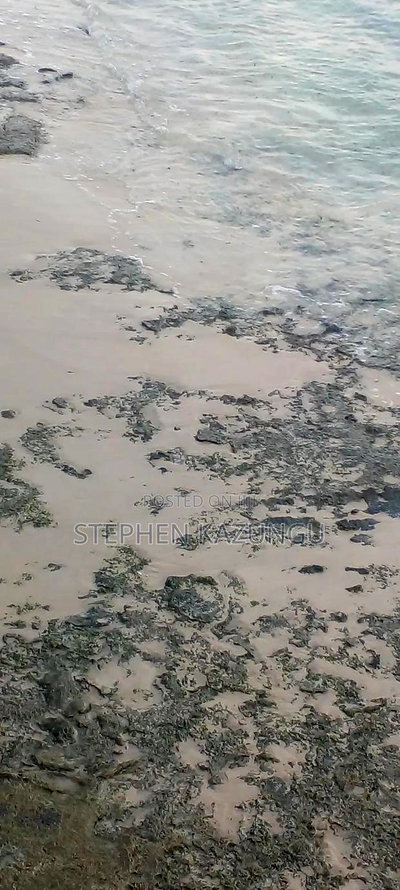 3.5 Acres Beach Plot on Sale in Galu Kinondo Beach - Image 5