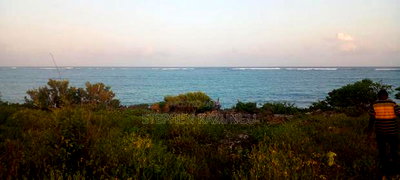 3.5 Acres Beach Plot on Sale in Galu Kinondo Beach - Image 1