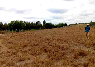Quarter Acre Plot in Kisaju for KSh 1.6M