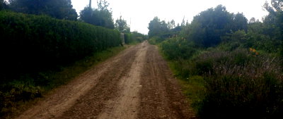 3-Acre Commercial Plot in Nturukuma