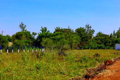 Residential Plots for Sale - Image 3