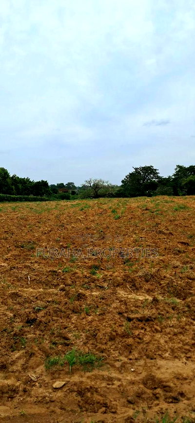 For Sale 5 Acre Malindi Mombasa Road - Image 5