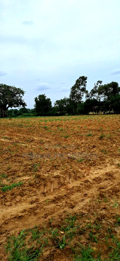 For Sale 5 Acre Malindi Mombasa Road - Image 4