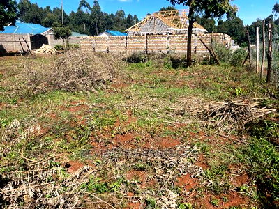 Residential Plot for Sale in Muguga, Kanduma. - Image 6