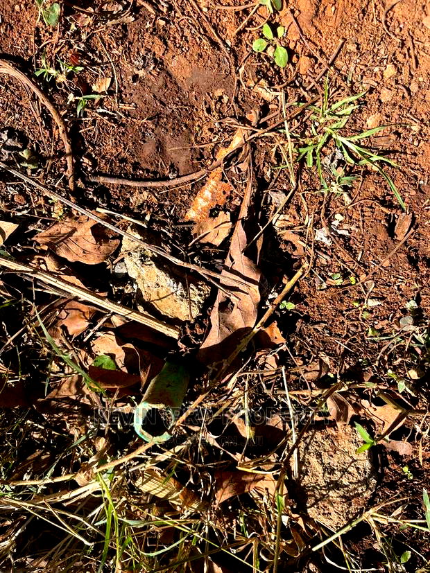 Residential Plot for Sale in Muguga, Kanduma.