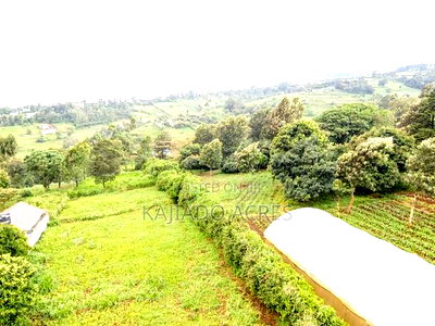 Prime 1 Acre Lemiso Road at 21m (Priced to Go,Last Price) - Image 3