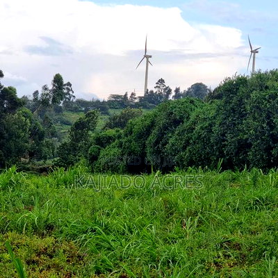 Prime 1 Acre Lemiso Road at 21m (Priced to Go,Last Price) - Image 9