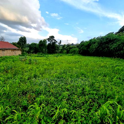 Prime 1 Acre Lemiso Road at 21m (Priced to Go,Last Price) - Image 6