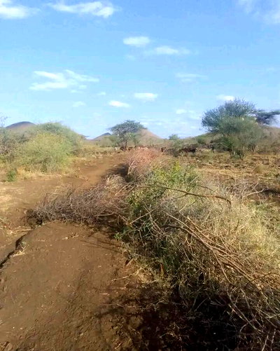 200-Acre Farm in Makindu for KSh 70M