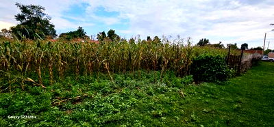 Plot For Sale In Racecours, Eldoret City - Image 5