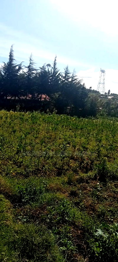 Land on Sale at Kinungi Naivasha - Image 7