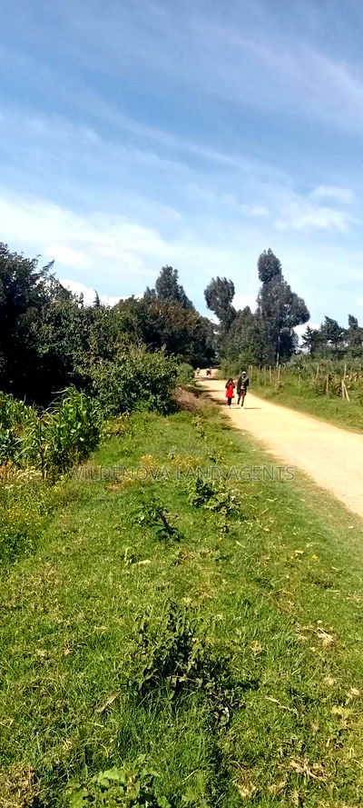 Land on Sale at Kinungi Naivasha - Image 6