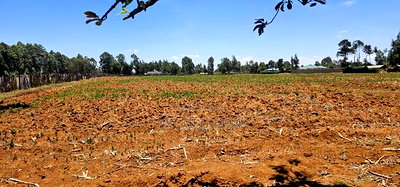 5 Acres for Sale in Kapseret Lobo Bypass in Eldoret - Image 8