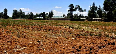 5 Acres for Sale in Kapseret Lobo Bypass in Eldoret - Image 9