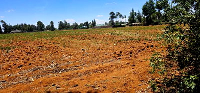 5 Acres for Sale in Kapseret Lobo Bypass in Eldoret - Image 5