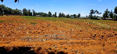 5 Acres for Sale in Kapseret Lobo Bypass in Eldoret - Image 6