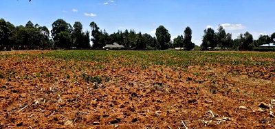 5 Acres for Sale in Kapseret Lobo Bypass in Eldoret - Image 10