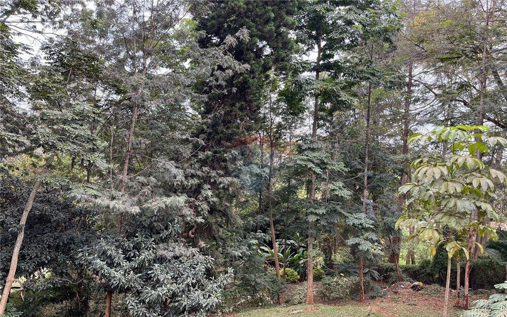 1 Acre Plot in Kyuna for KSh 130M