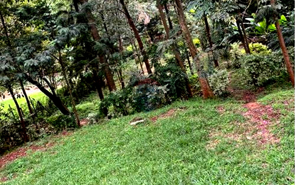 1 Acre Plot in Kyuna for KSh 130M